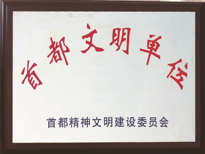 北京保安公司榮譽(yù)資質(zhì)